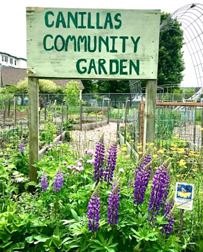 Canillas pollinator garden in Lebanon